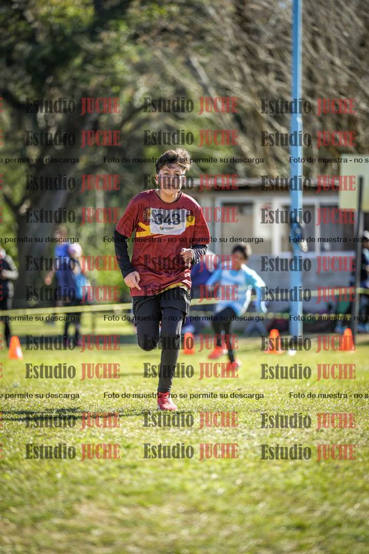 Fotos de la llegada del cross de 1500 m