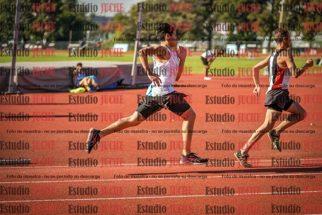Fotos de los 800 m llanos de varones
