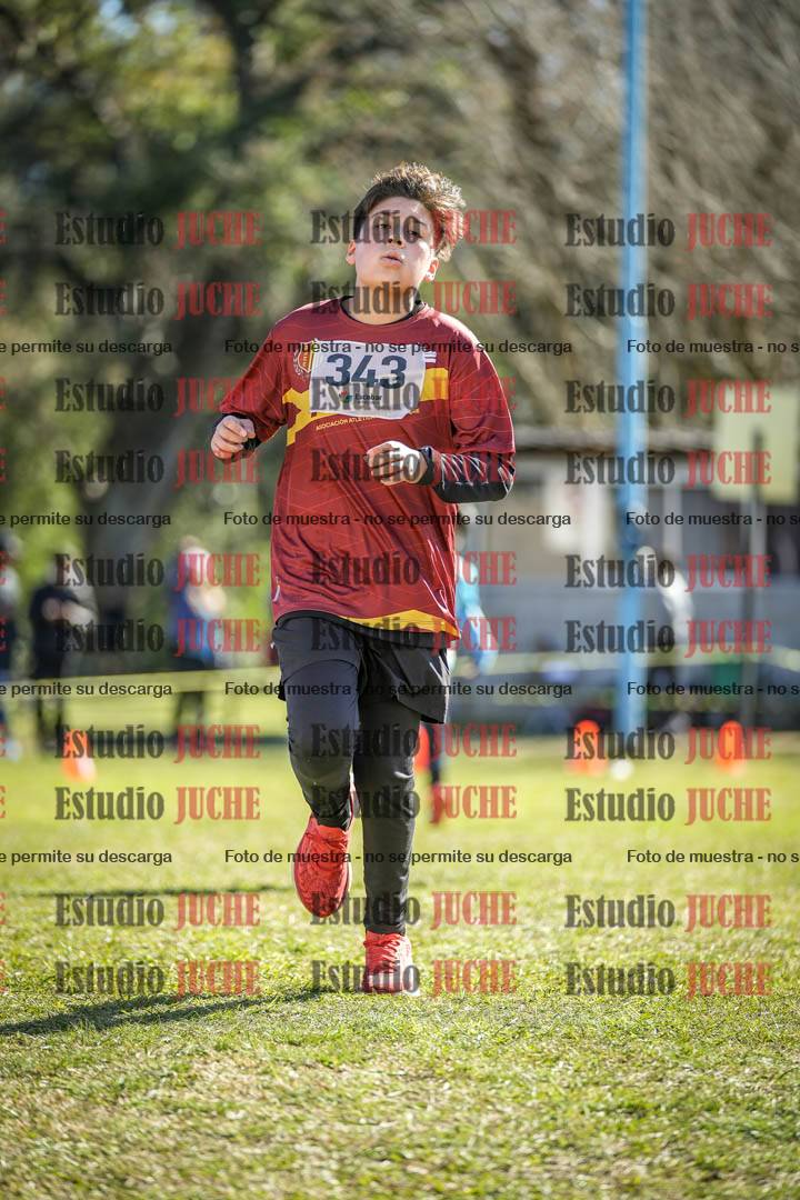 Fotos de la llegada del cross de 1500 m
