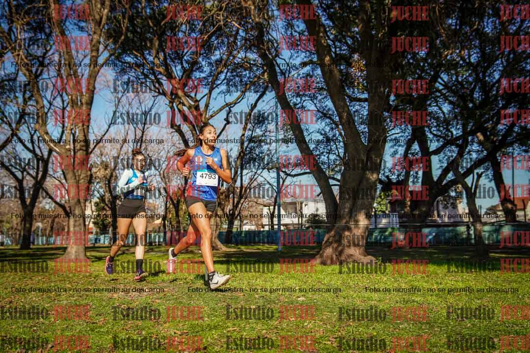 Fotos en el circuito