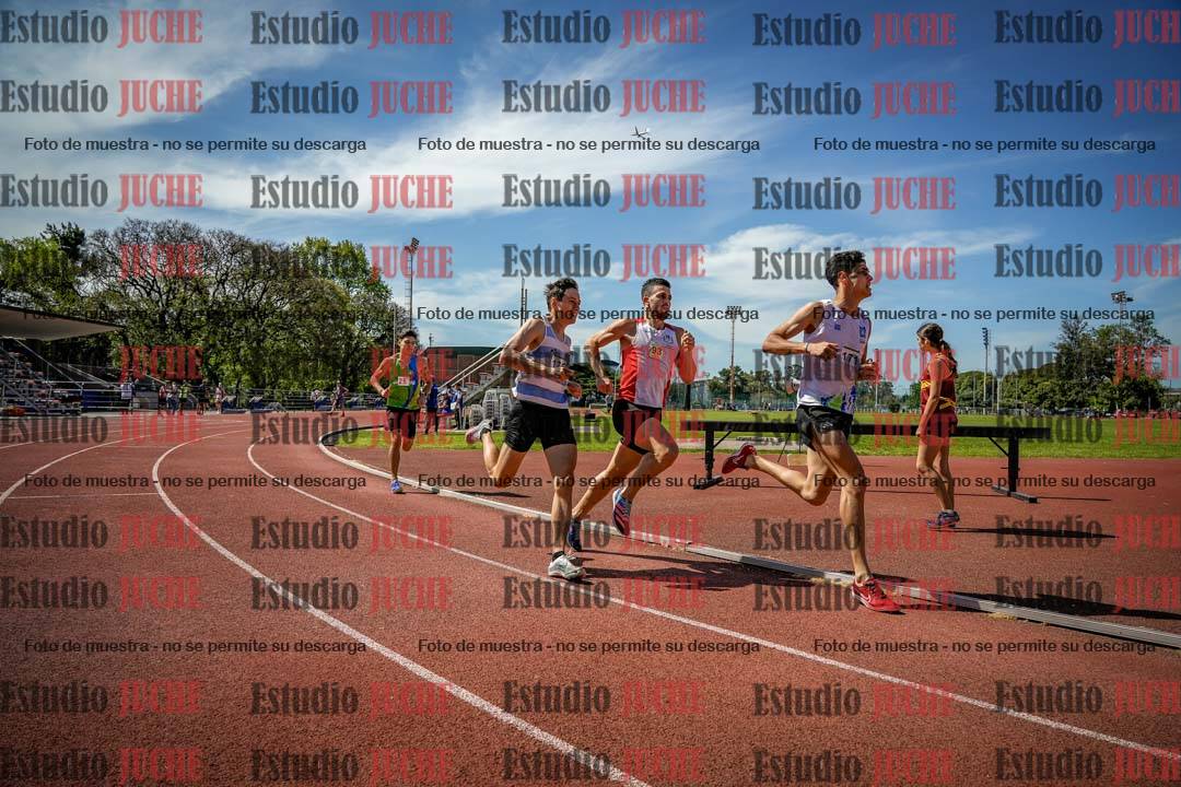 Fotos de los 800 m llanos de varones