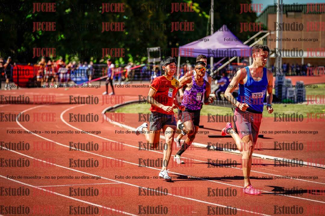 Fotos de los 800 m llanos de varones