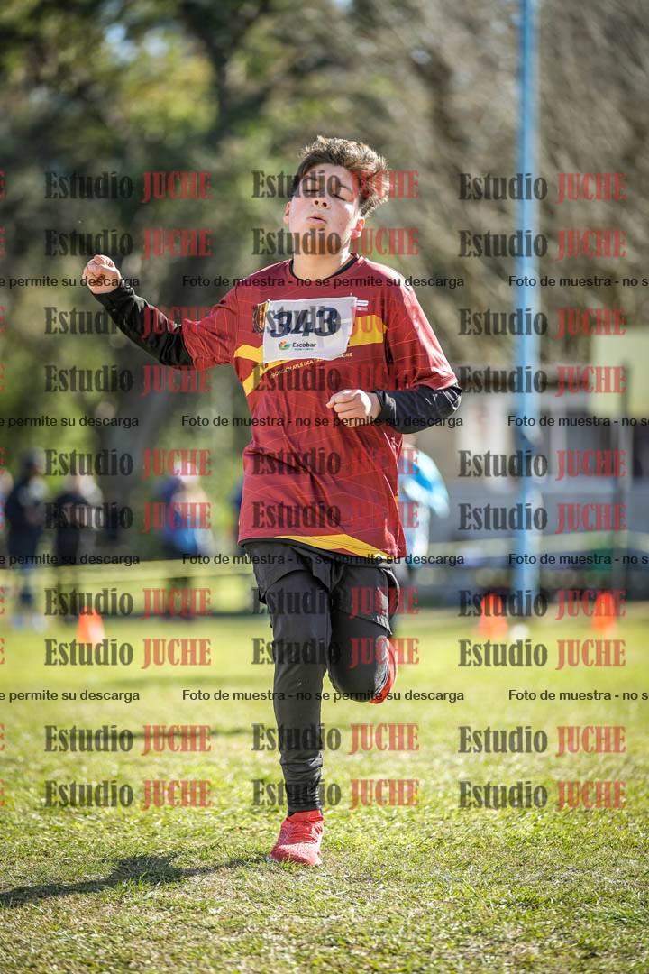Fotos de la llegada del cross de 1500 m