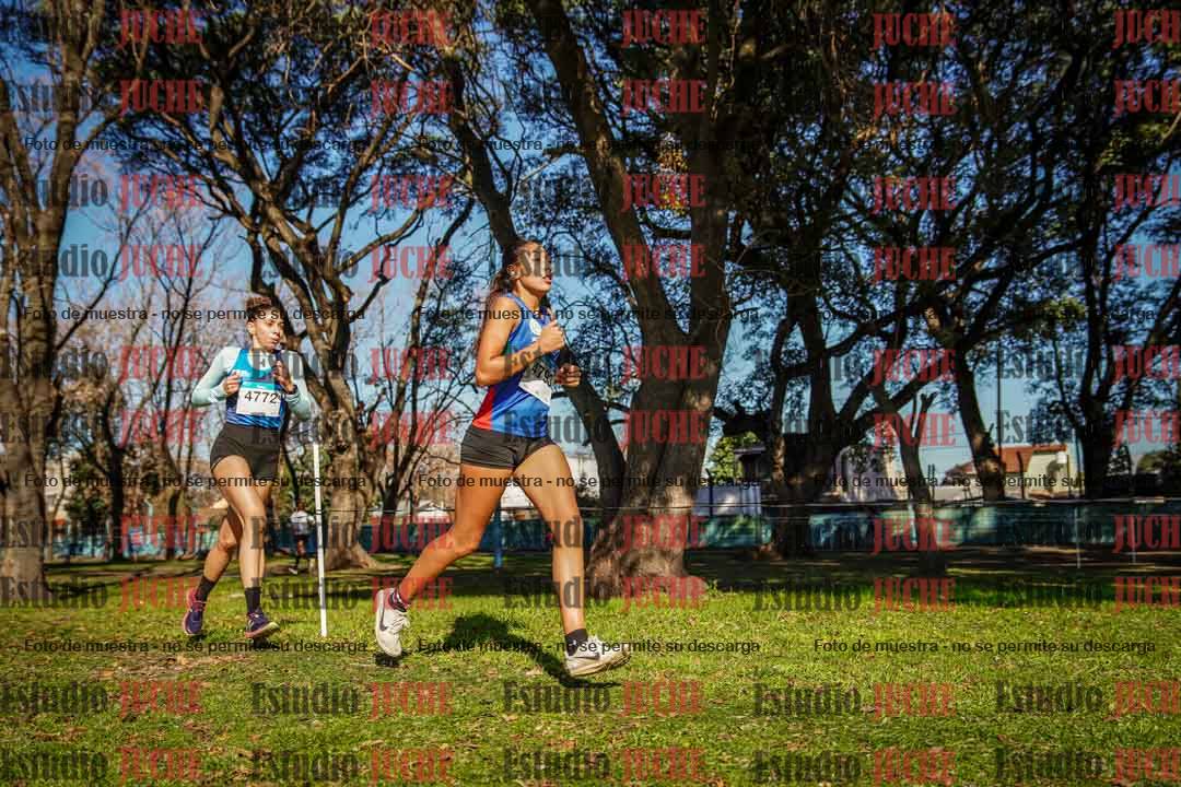 Fotos en el circuito