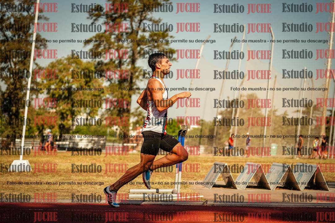 Fotos de los 800 m llanos de varones