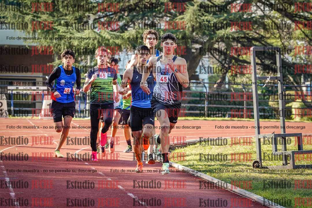 Fotos de los 800 m llanos de varones