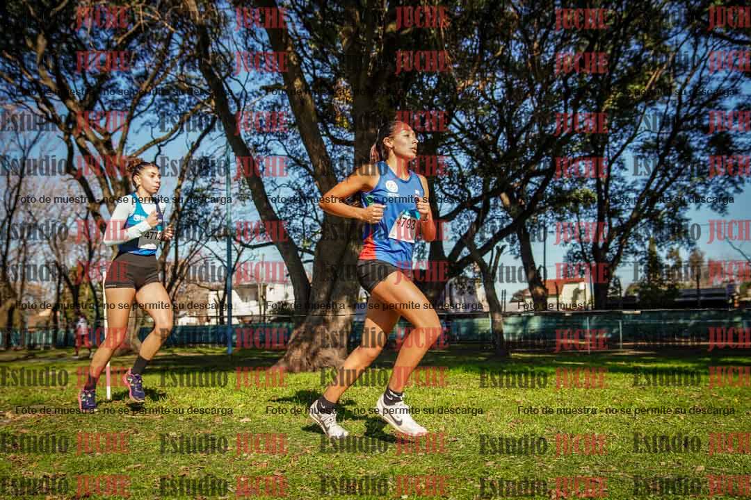 Fotos en el circuito
