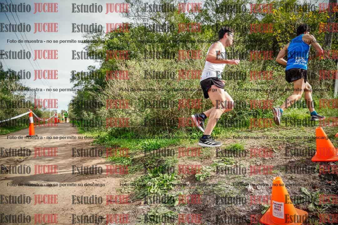 Fotos en el circuito