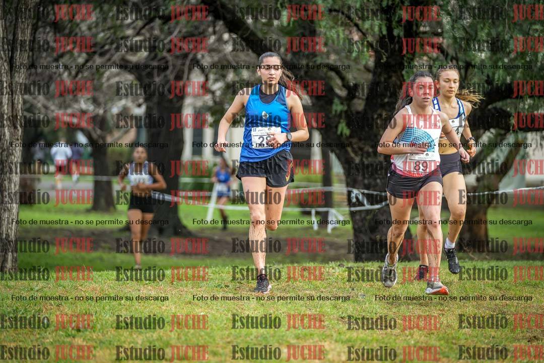 Fotos en el circuito