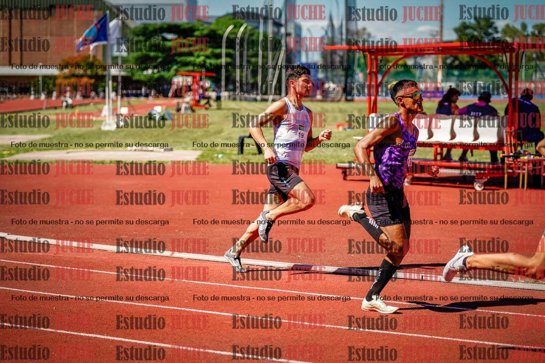 Fotos de los 800 m llanos de varones