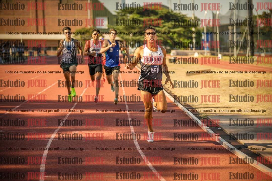 Fotos de los 800 m llanos de varones