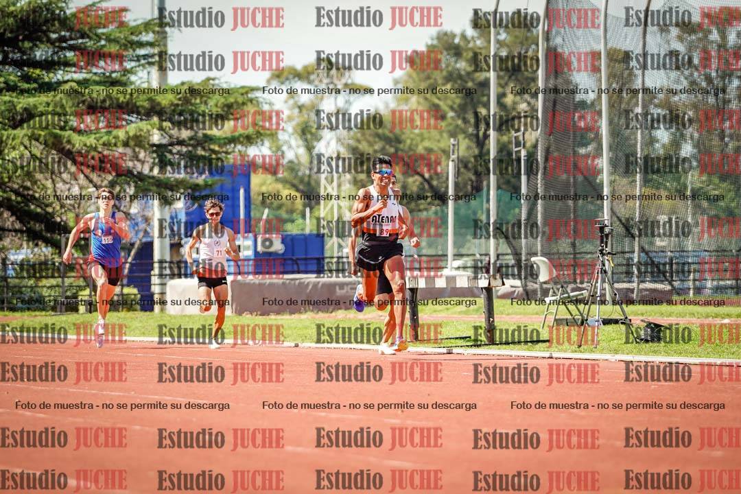 Fotos de los 800 m llanos de varones