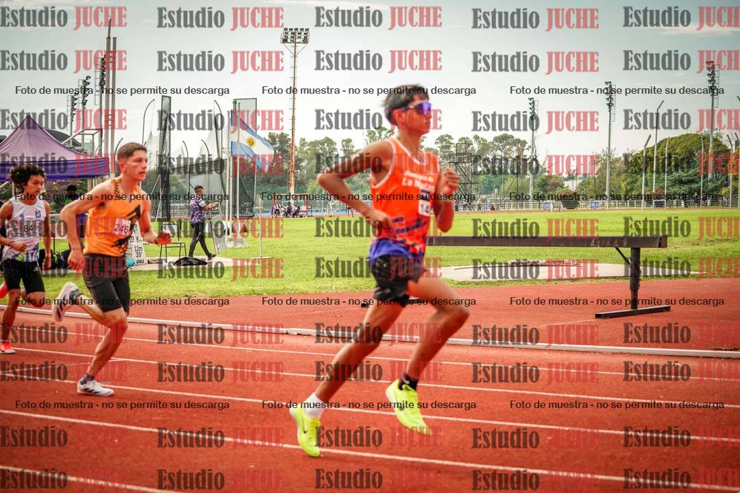 Fotos de los 800 m llanos de varones