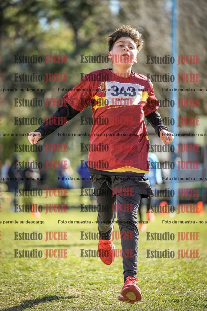 Fotos de la llegada del cross de 1500 m