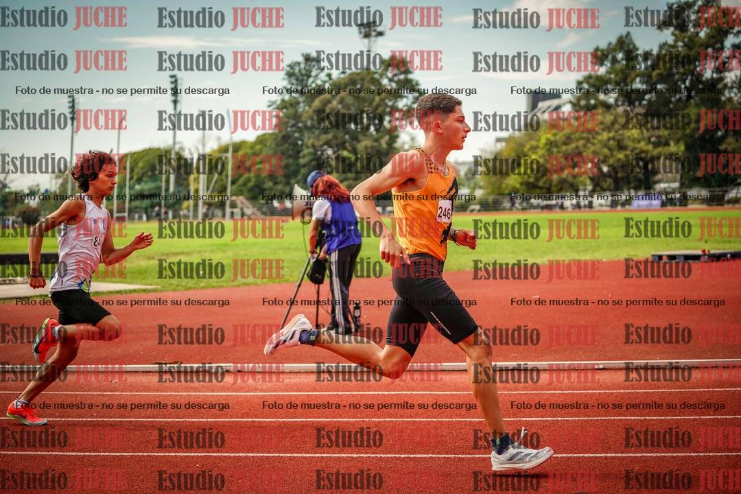 Fotos de los 800 m llanos de varones