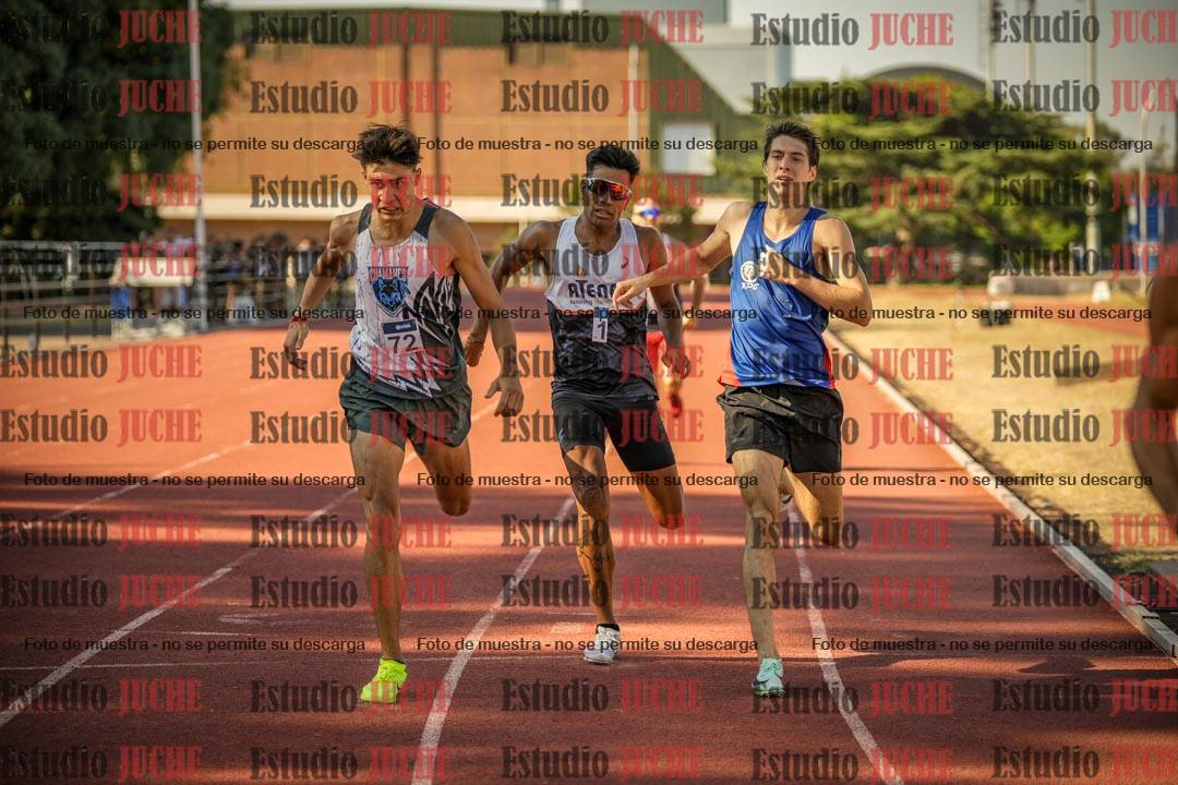 Fotos de los 800 m llanos de varones