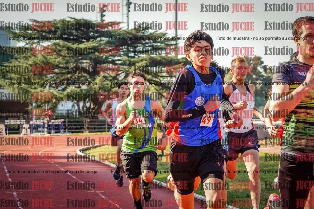 Fotos de los 800 m llanos de varones