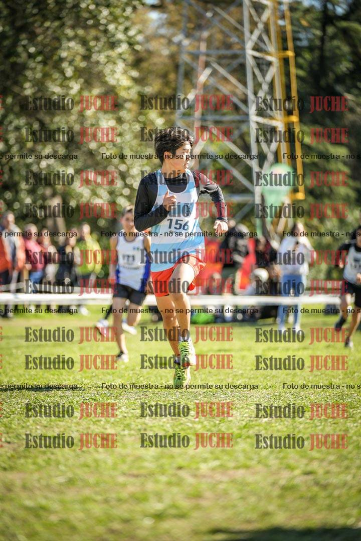Fotos de la llegada del cross de 2000 m