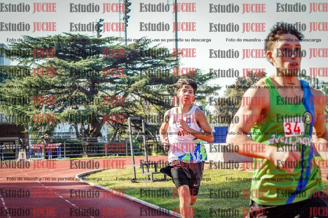 Fotos de los 800 m llanos de varones