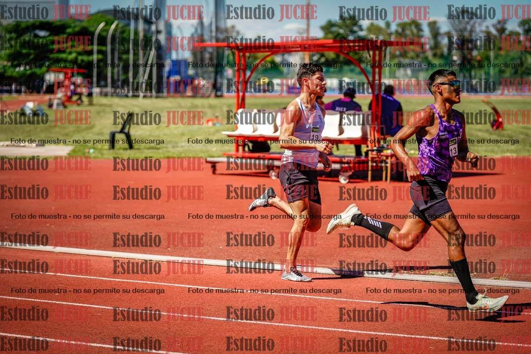 Fotos de los 800 m llanos de varones