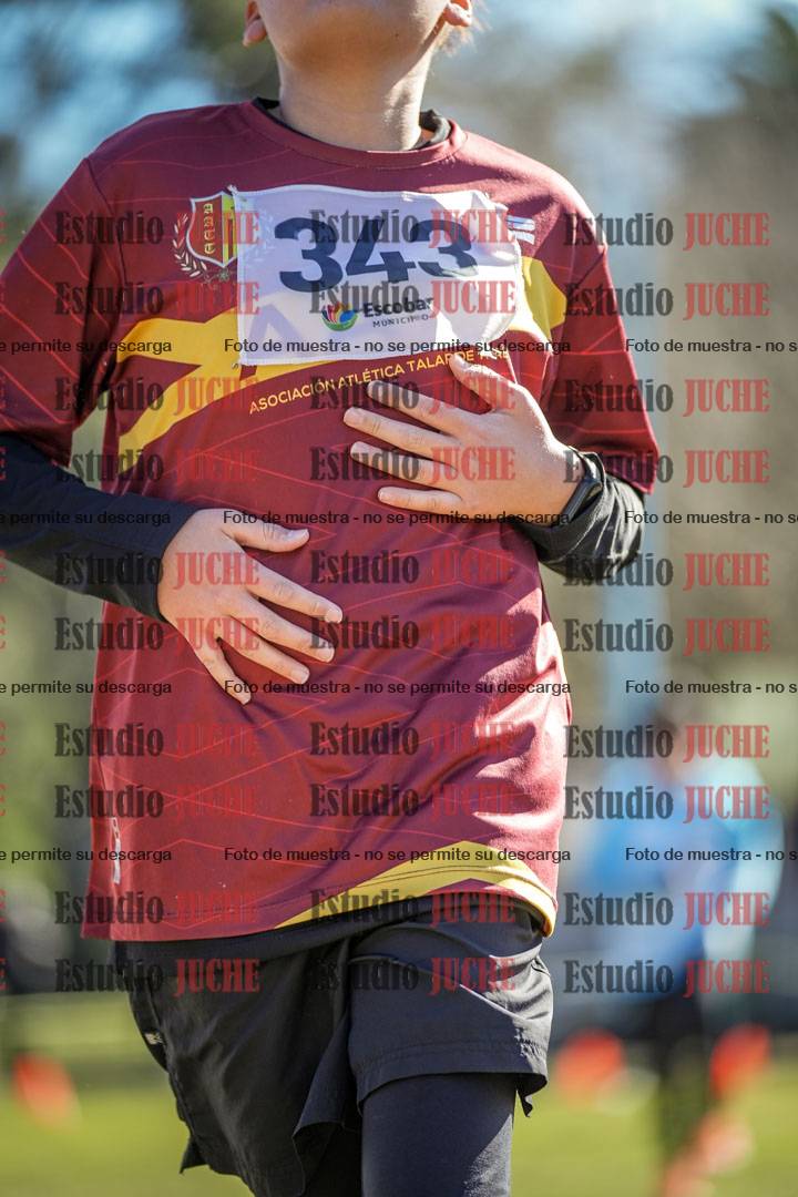 Fotos de la llegada del cross de 1500 m