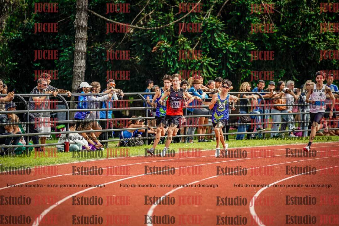 Fotos de los 800 m llanos de varones