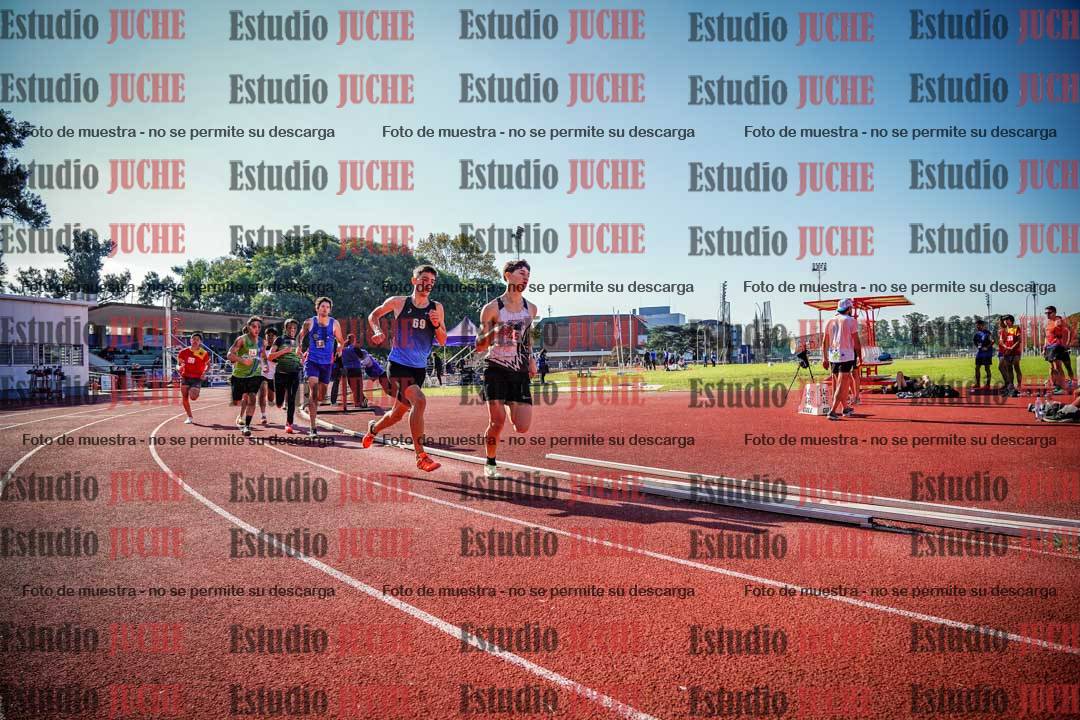 Fotos de los 800 m llanos de varones