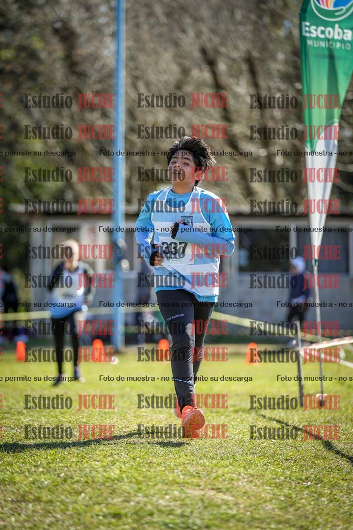 Fotos de la llegada del cross de 1500 m