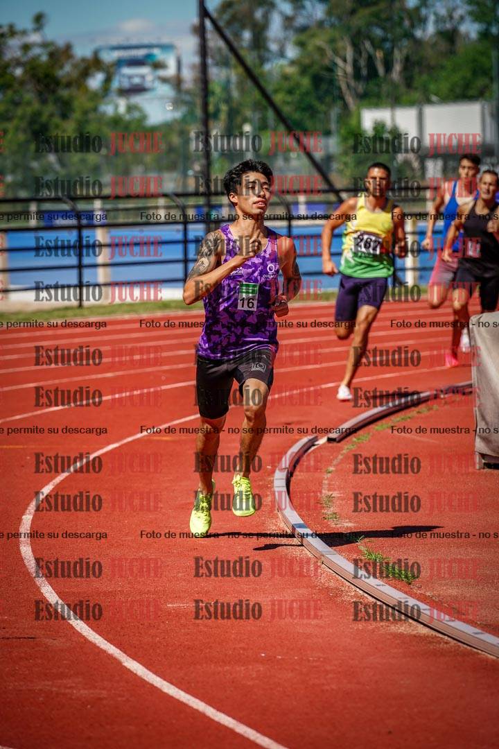 Fotos de los 800 m llanos de varones