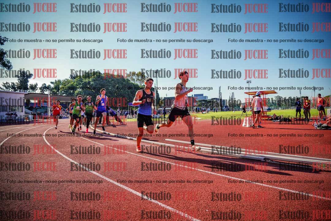 Fotos de los 800 m llanos de varones