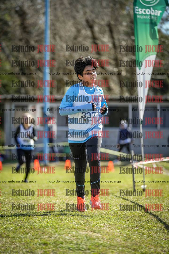 Fotos de la llegada del cross de 1500 m