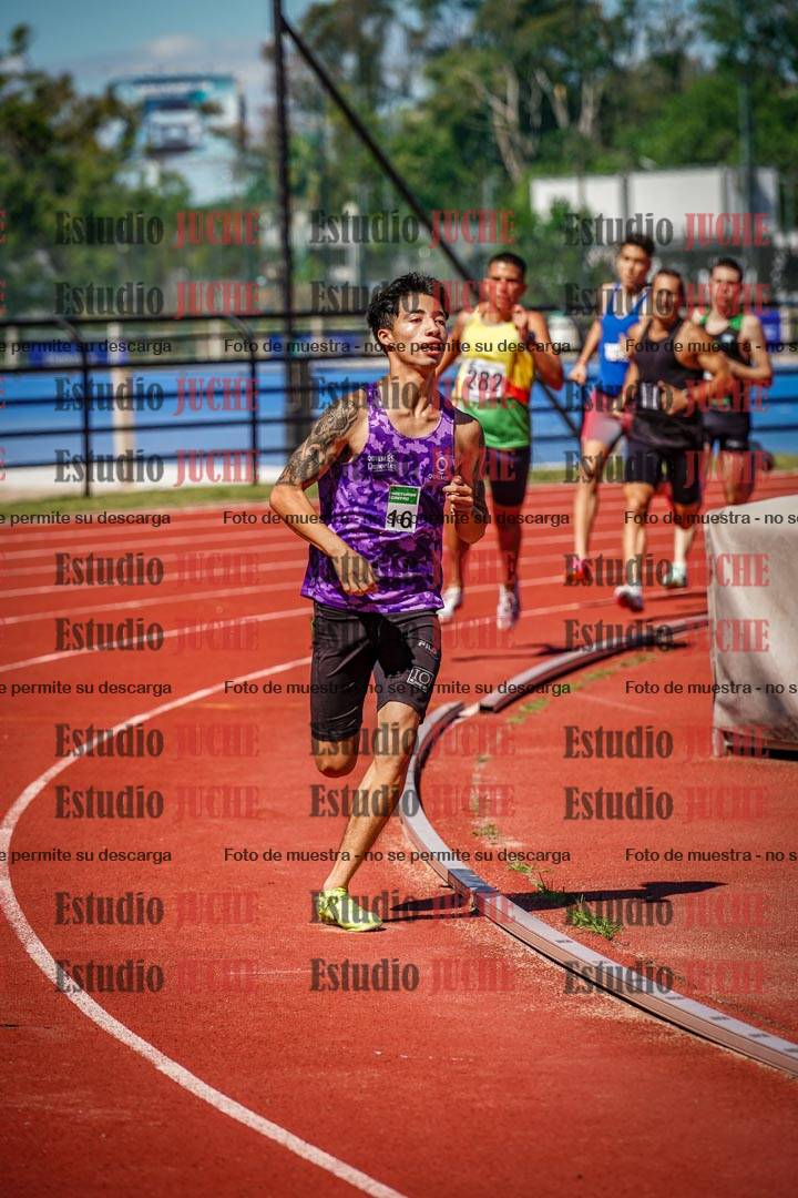 Fotos de los 800 m llanos de varones