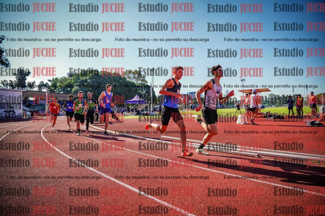 Fotos de los 800 m llanos de varones