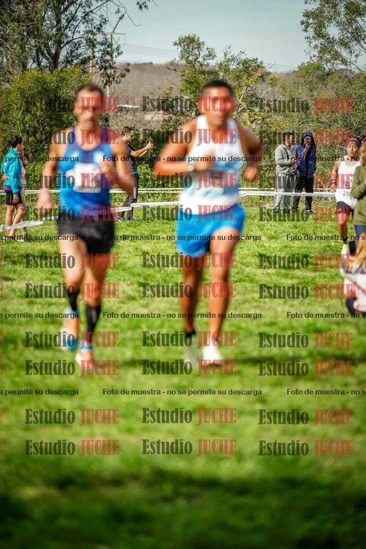 Fotos en el circuito