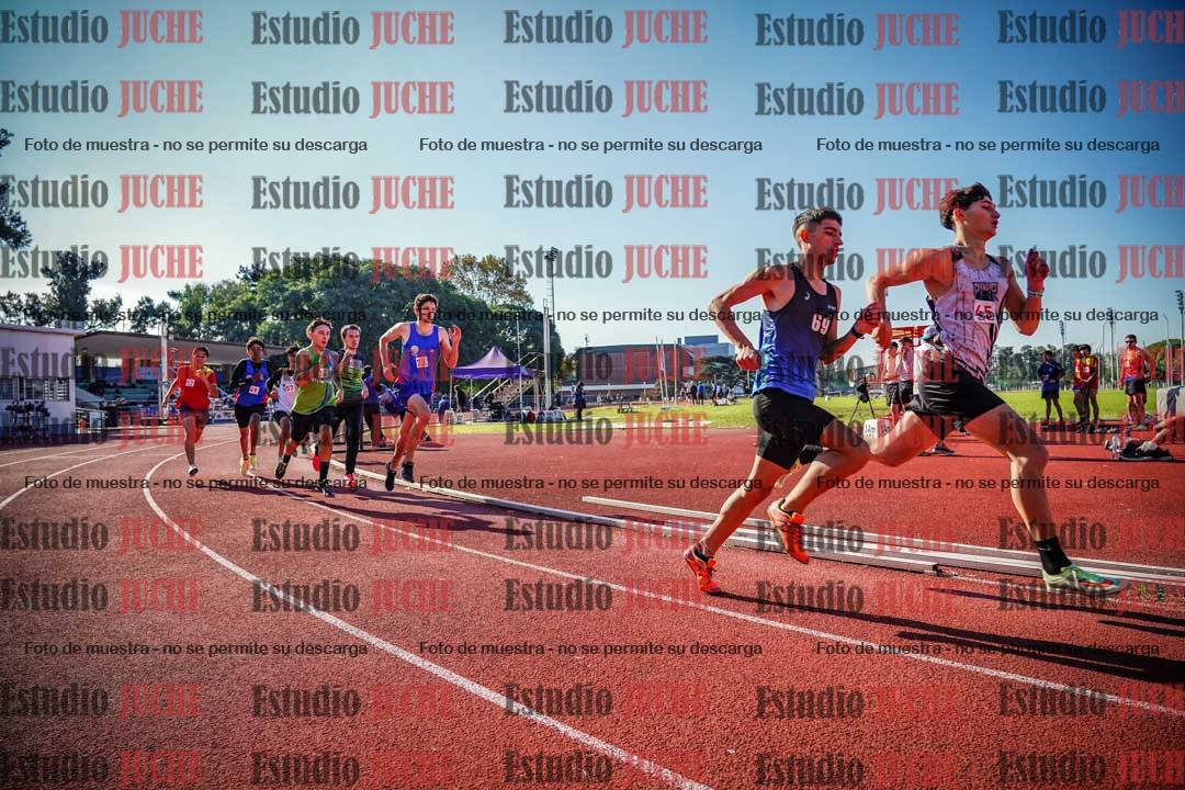 Fotos de los 800 m llanos de varones
