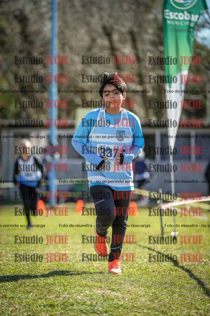 Fotos de la llegada del cross de 1500 m