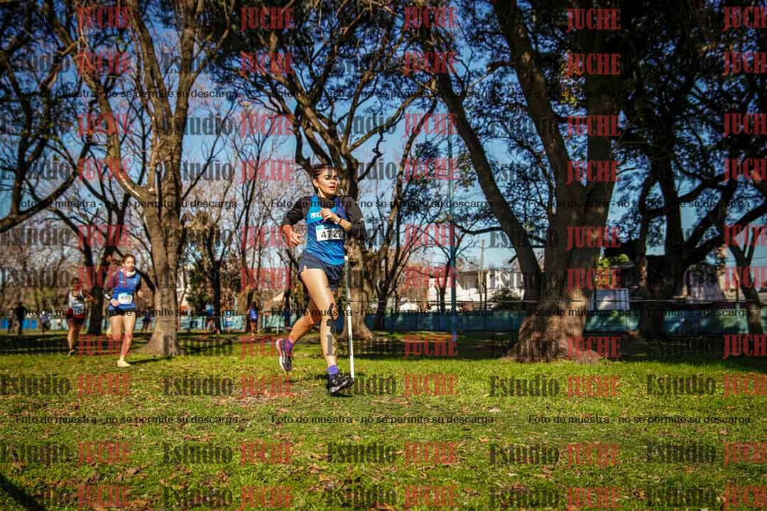 Fotos en el circuito