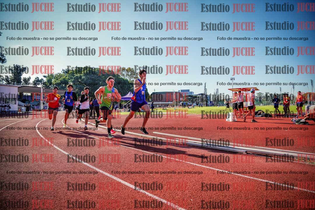 Fotos de los 800 m llanos de varones