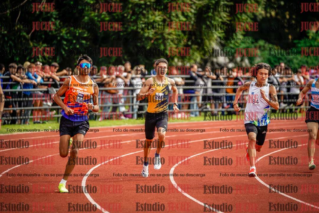Fotos de los 800 m llanos de varones