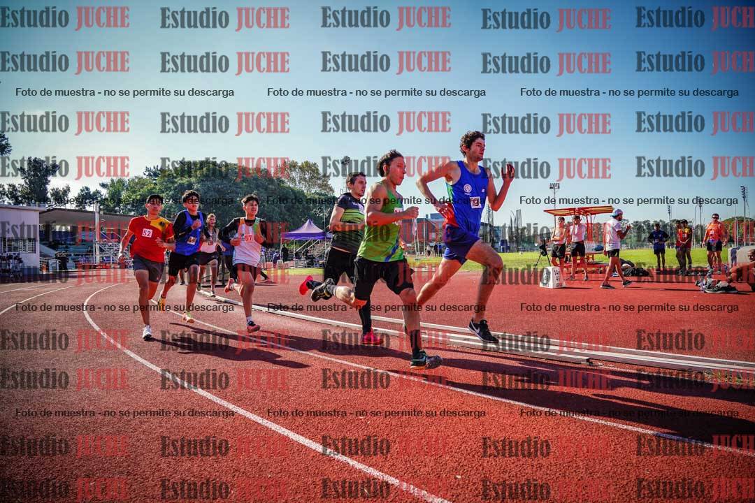 Fotos de los 800 m llanos de varones