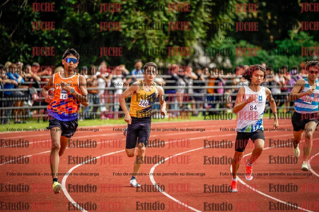 Fotos de los 800 m llanos de varones