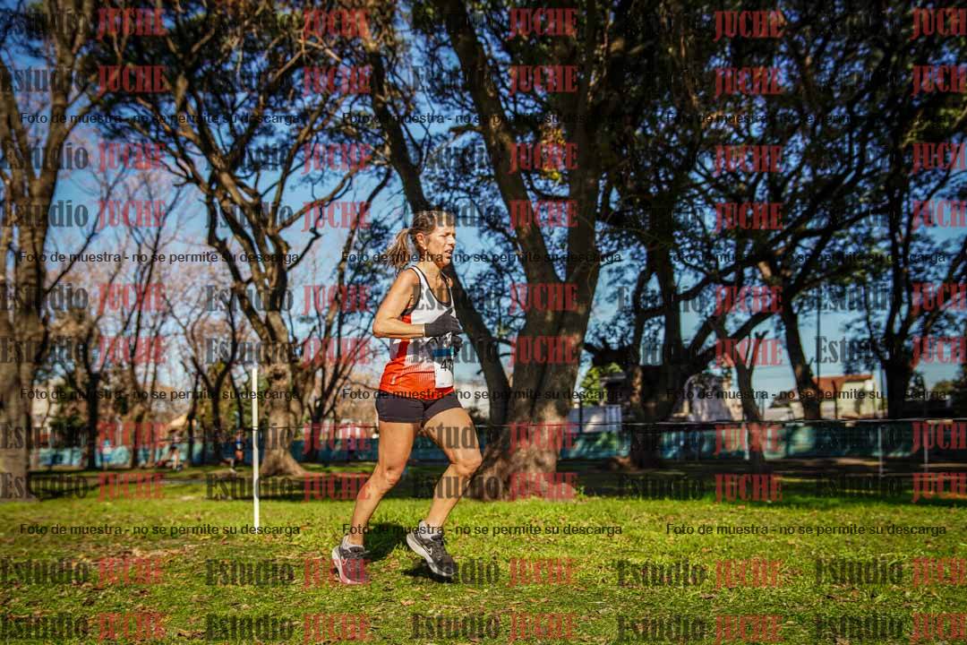 Fotos en el circuito