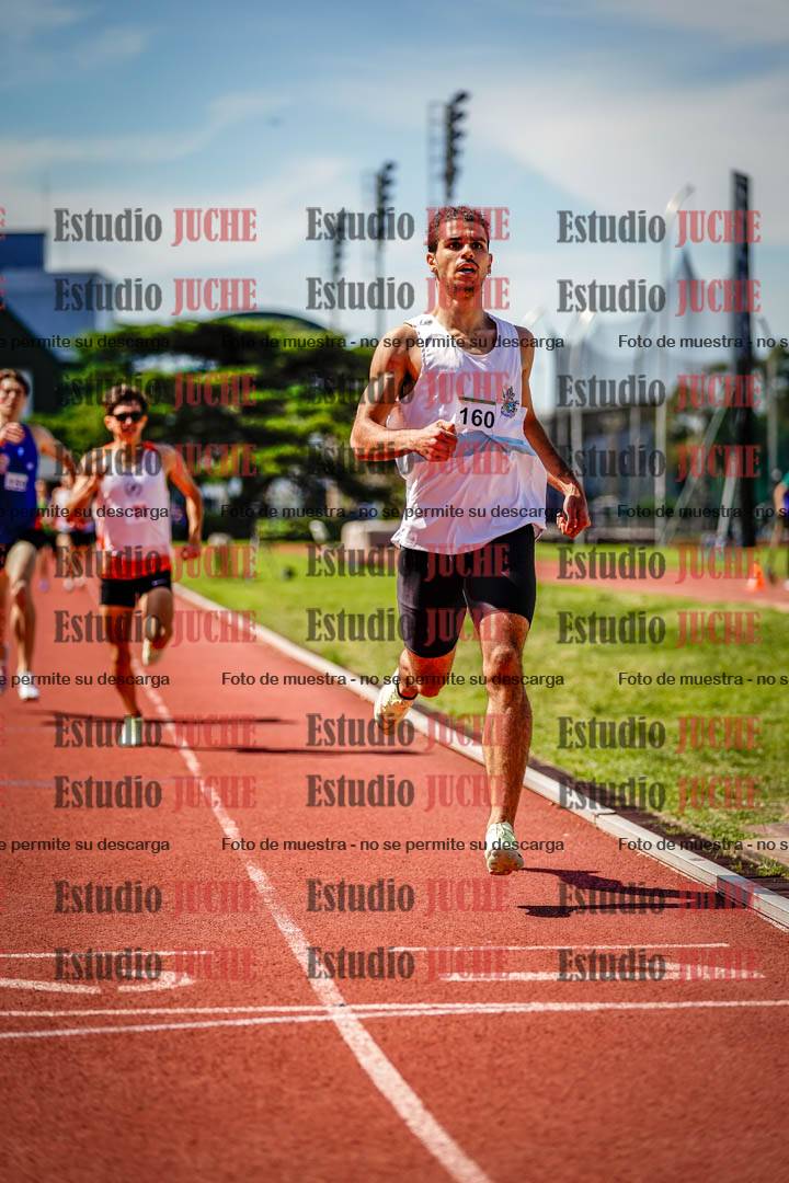 Fotos de los 800 m llanos de varones
