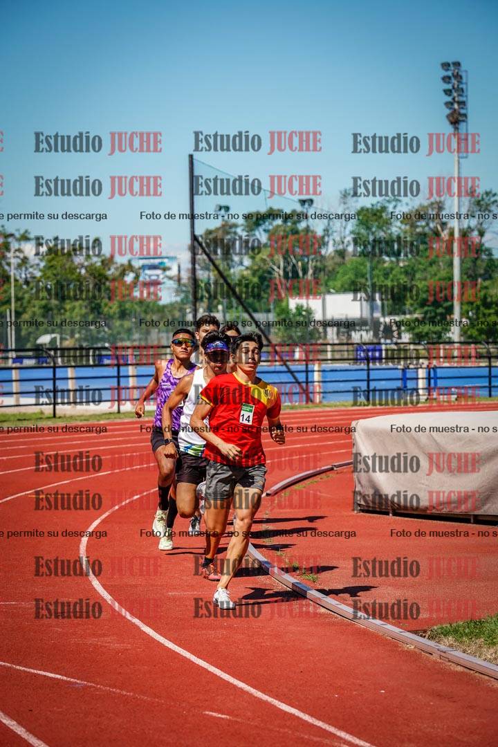 Fotos de los 800 m llanos de varones