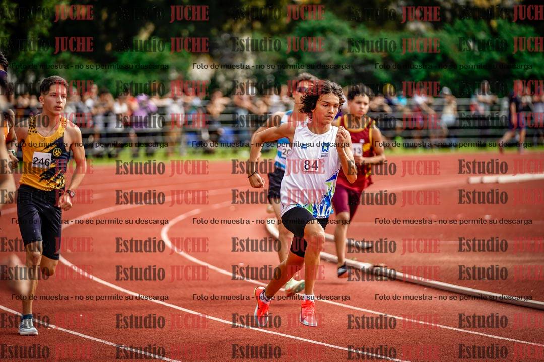Fotos de los 800 m llanos de varones