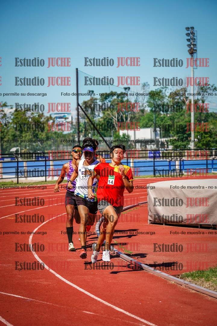 Fotos de los 800 m llanos de varones