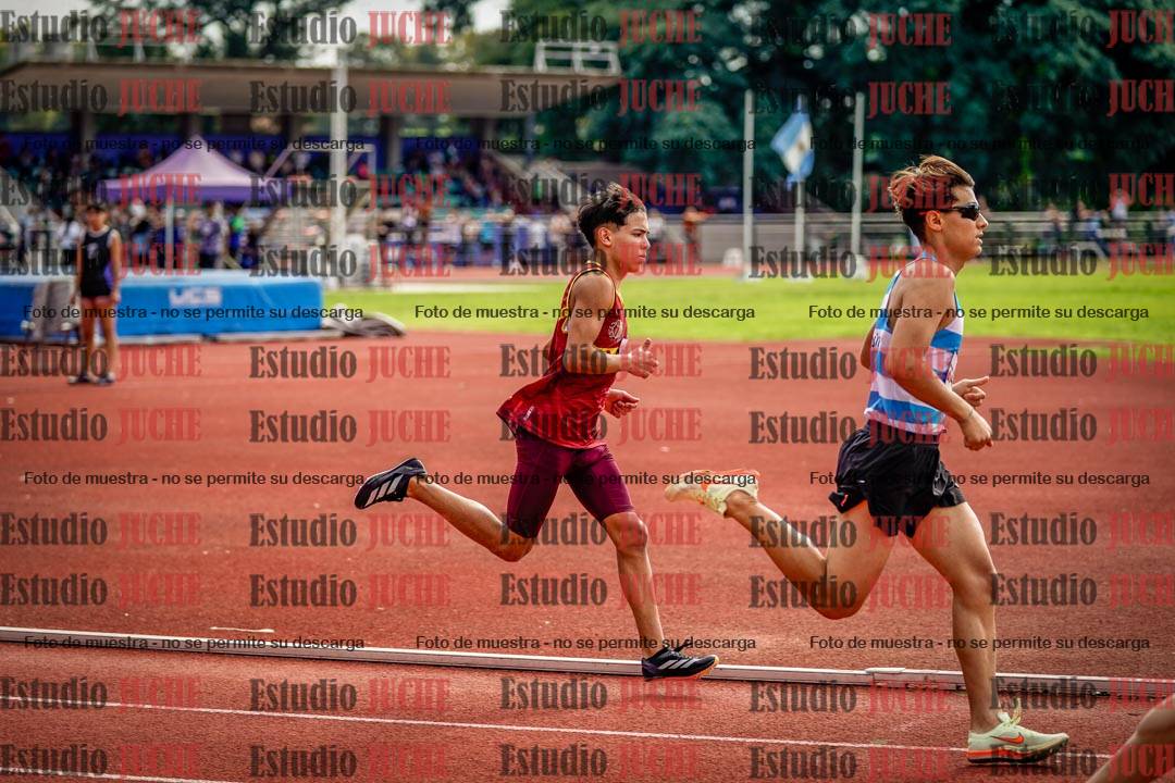 Fotos de los 800 m llanos de varones