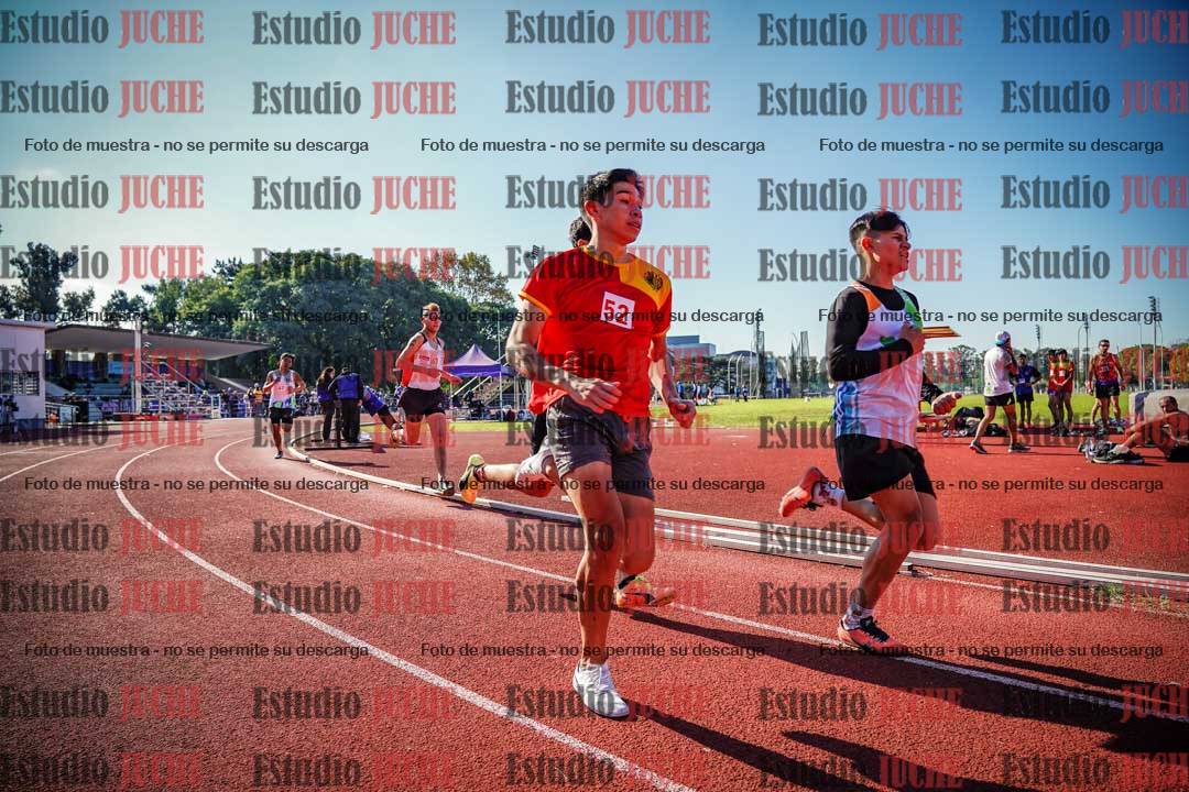 Fotos de los 800 m llanos de varones