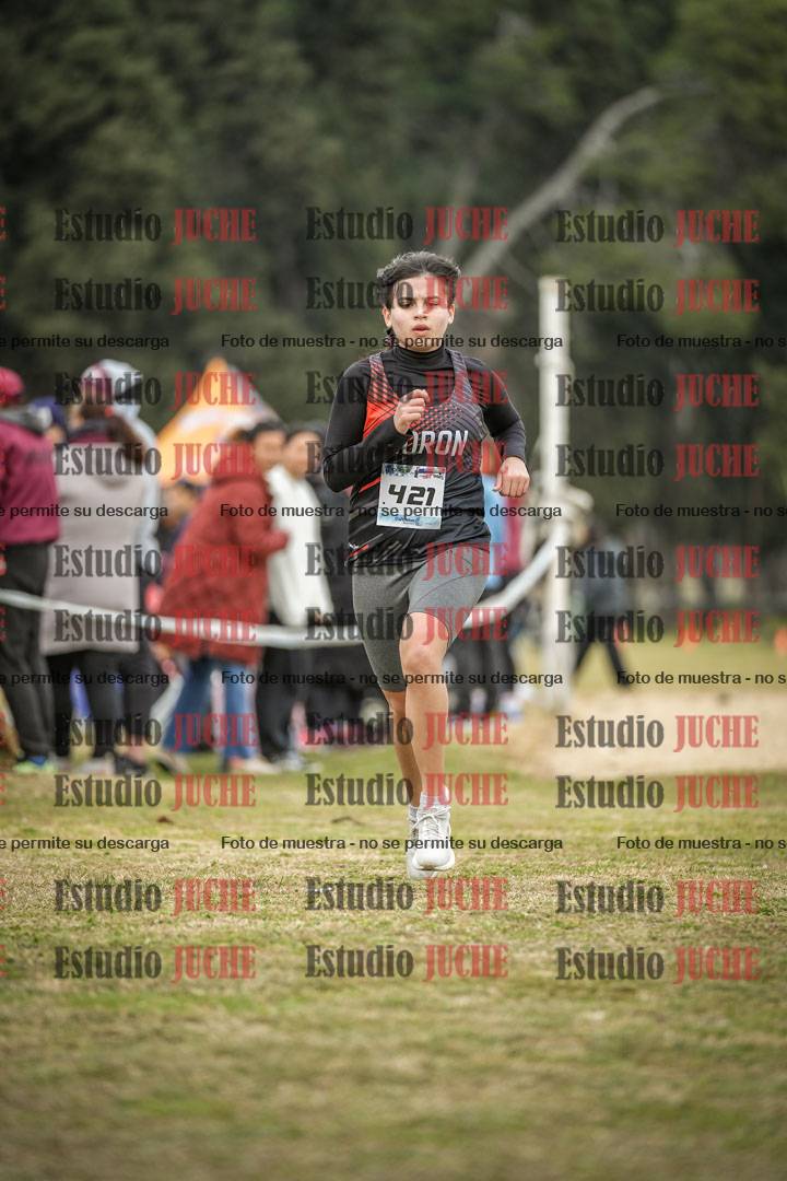 Fotos de la llegada