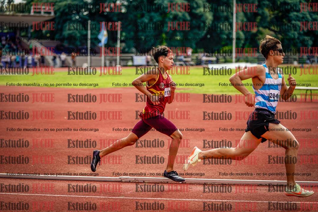 Fotos de los 800 m llanos de varones